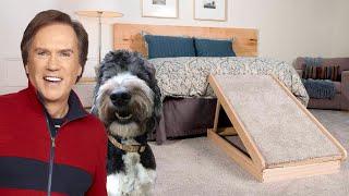 Finn Hates The Dog Ramp | Fun Size