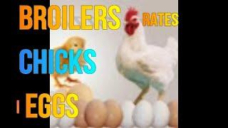 10-01-2022- poultry rates | Daily Poultry Rates | Daily poultry rates in india| egg | broiler |chick