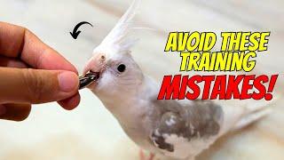 8 Training Mistakes Every Beginner Makes with Cockatiel