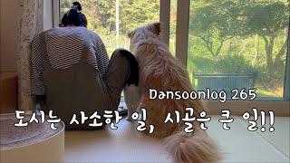 SUB 단순로그265 도시에서는 사소한 일이 시골에선 큰 일이 되는 일상 vlog