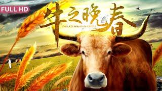 [Full Movie] 牛之晚春 Late Spring of Cattle | 喜剧剧情片 Comedy Drama HD