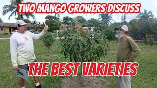 The Best Mango Trees To Grow in 2025