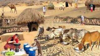 A visit to Cholistan Desert Life ll 3000 Cholistani Cows Herd of Toba Machrali