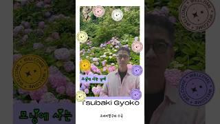 "모닝에 사는 남자"의 일본 여행 0107 --- 츠바키 항구와 수국