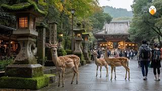 Nara, Japan Discover the Magical City Where Deer and Temples Coexist (4K UHD)