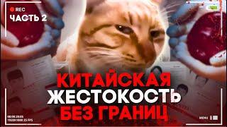 Ультранасилие в Китае | Живодёры Hello Street Cat, Помощь людям, Чёрный рынок органов