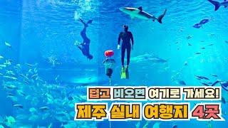 장마철 날씨에 상관 없이 갈 수 있는 제주 실내여행지 베스트4 세계 TOP 10 해양 테마파크 아쿠아플라넷 제주 아이바가든 노형슈퍼마켙 제주국립박물관