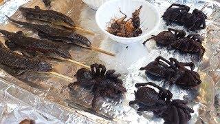 Amazing STREET FOOD VIETNAM - EAT SCORPIONS, WORM, INSECTS