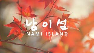 Autumn at Nami Island남이섬 South Korea Cinematic Video