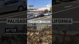 Before & After the Palisades Fire in California