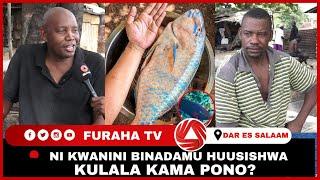 MFAHAMU SAMAKI PONO NI KWANINI BINADAMU HUUSISHWA KULALA KAMA PONO KWANI ANALALAJE?