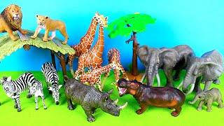 Fun Safari Diorama and Animal Figurines