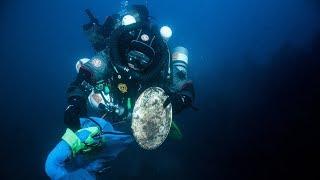 Discovery of the wreck Palestro and Re d'Italia memorial dive