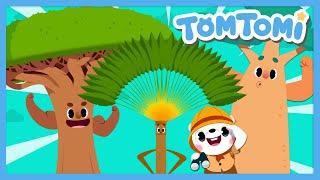 Unusual Trees | Actual Images of Weird Trees | Unusual Series | Kids Song | TOMTOMI