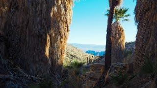 Bear Creek Trail - La Quinta, California