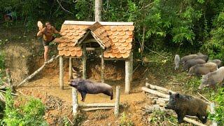 Following the ferocious wild boars, building a wooden house on a tree, the hunt begins || phượng pú