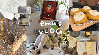 6 ways to enjoy autumn,cozy Japanese vlog