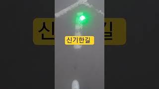 신기하고 아름다운 길거리 목요일