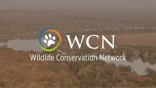 Wildlife Conservation Network Live Stream