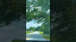 [미국일상] 조지아 시골길 #곰배령 #임영웅 #ytshorts #미국브이로그 #미국일상 #트로트 #shorts