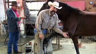 How To Trim a Front Foot.   Vintage Hoof Watch