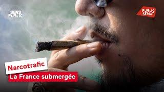 Narcotrafic : la France submergée