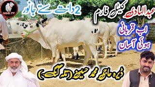 Dera Haji Muhammad Hussan Talagang ll Part 2 ll cow mandi ll Jamil tv ll