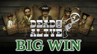 Dead or Alive online slot by Netent. Big win