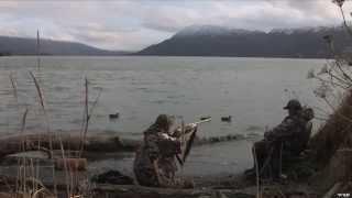 Duck hunting at Low Tide At Larson Bay Alaska