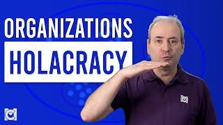 What is Brian Robertson's Holacracy Organizational Model?