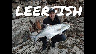 Shore Jigging - Big Leerfish solo fishing (Lichia Amia)