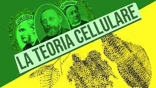 Teoria cellulare | Pillole di Scienza