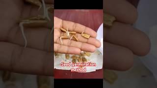 Easy seed germination method. #gardeningtips #nature #gardening #agriculture