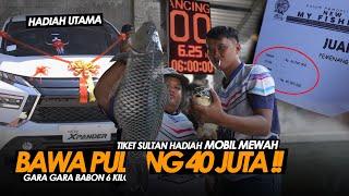 BABON SEGEDE OROK !! TIKET 14 JUTA GEMBUL BAWA PULANG MOBIL EXPANDER ?? || Am#426