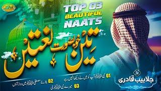 Top 3 Beautiful Naats By Jalabeeb Qadri | Naat Mashup 2024 | nabi ji nabi ji | Mind relaxing naat