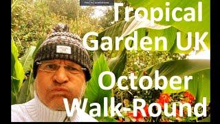 Tropical Garden UK - October Autumn Walk-Round