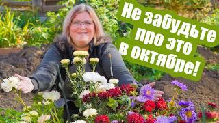 Успейте сделать это в октябре! Все работы в саду и огороде