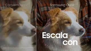 Conoce Samsung OLED