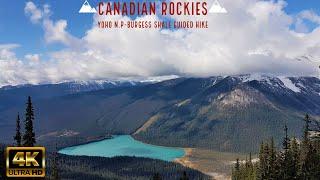 Burgess Shale Hike 4K - Yoho National Park - Canadian Rockies #burgessshale #canadianrockies