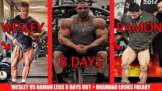 Wesley VS Ramon Dino 8 Days Out: Who Has Better Quads? + What are they feeding Rafael Brandao +MORE