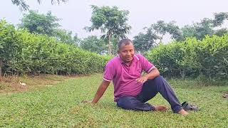 Tour sreemangal tea garden Beautiful Bangladesh and  beauty of tea garden