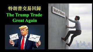 Trump Trade 回歸 ｜特朗普上任｜ Another wall of worry to climb (18-Jan-2025）【CC中文字幕】