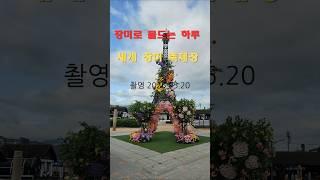 장미꽃 향기로 물드는 하루,  All Day Rose