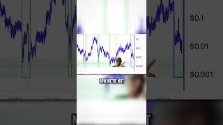 WE’RE IN THE MIDDLE OF THE BITCOIN BULL RUN!!