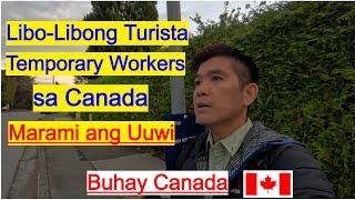 Maraming Turista at Temporary Workers sa Canada ang Uuwi! Buhay Canada!