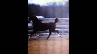 Ro & Me's Bullish