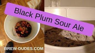 Tasting Mike's Black Plum Sour Ale