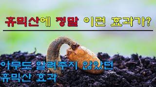 휴믹산에 정말 이런 효과가? 아무도 알려주지 않았던 휴믹산의 놀라운 효과들