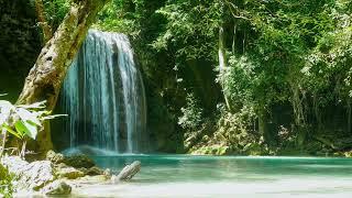 FIND PEACE OF MIND  Soothing Piano & Birds Singing With Waterfall Sounds. NO ADS