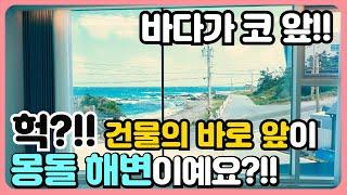 바다 앞 주택 바닷가 1선 집 바다 앞 집 매매 바닷가 바로 앞 집 바닷가 바로 앞 주택 동해 바닷가 앞 집 바닷가 주택 매매 바닷가 집 매물 바닷가 펜션 매매 바다 앞 건물